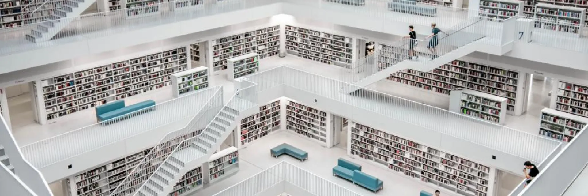 kuma-kum-SiOJXlWeWc0-unsplash