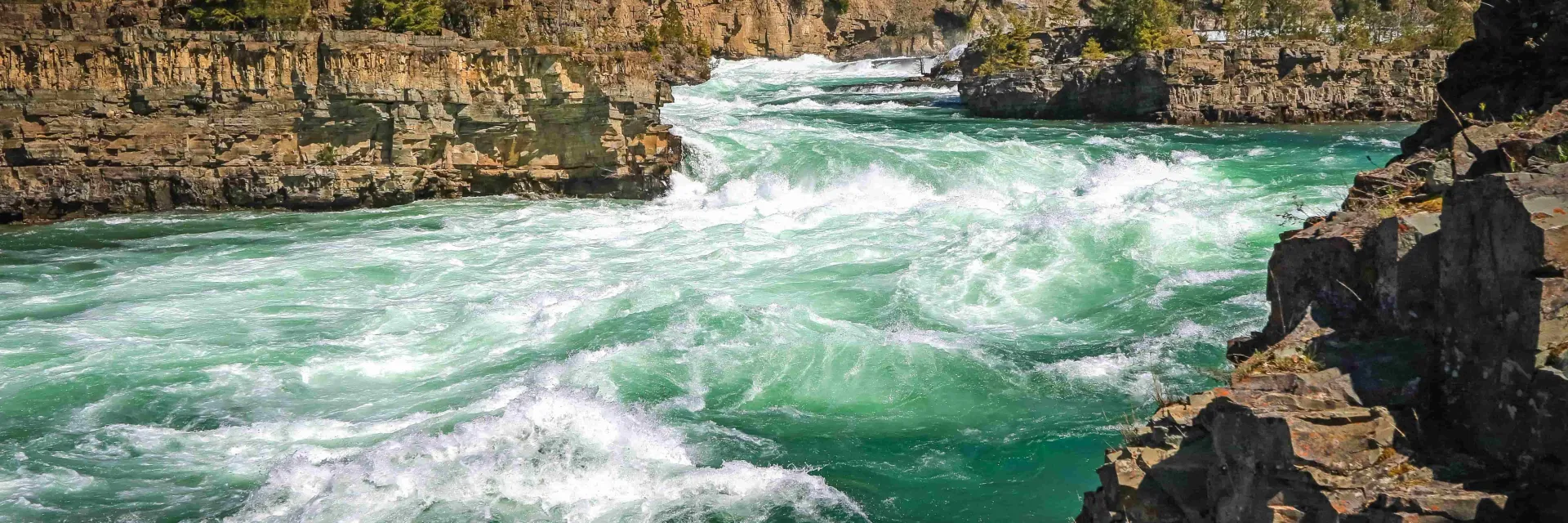 La experiencia de aprendizaje